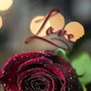 Meet your Posher, Yvette